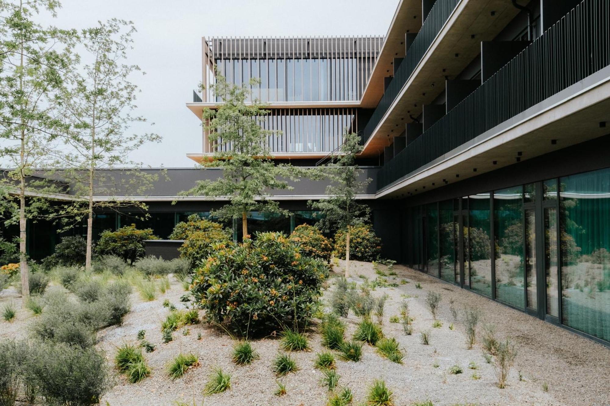 Отель Loxone Campus Kollerschlag Экстерьер фото
